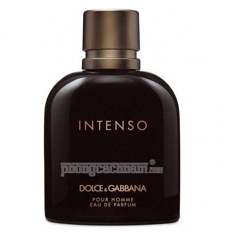 Nước hoa nam Dolce & Gabbana - INTENSO POUR HOMME - eau de parfum (EDP) 125ml (4.2 oz)